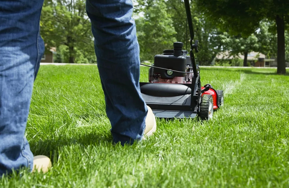 How To Maintain A Grassland