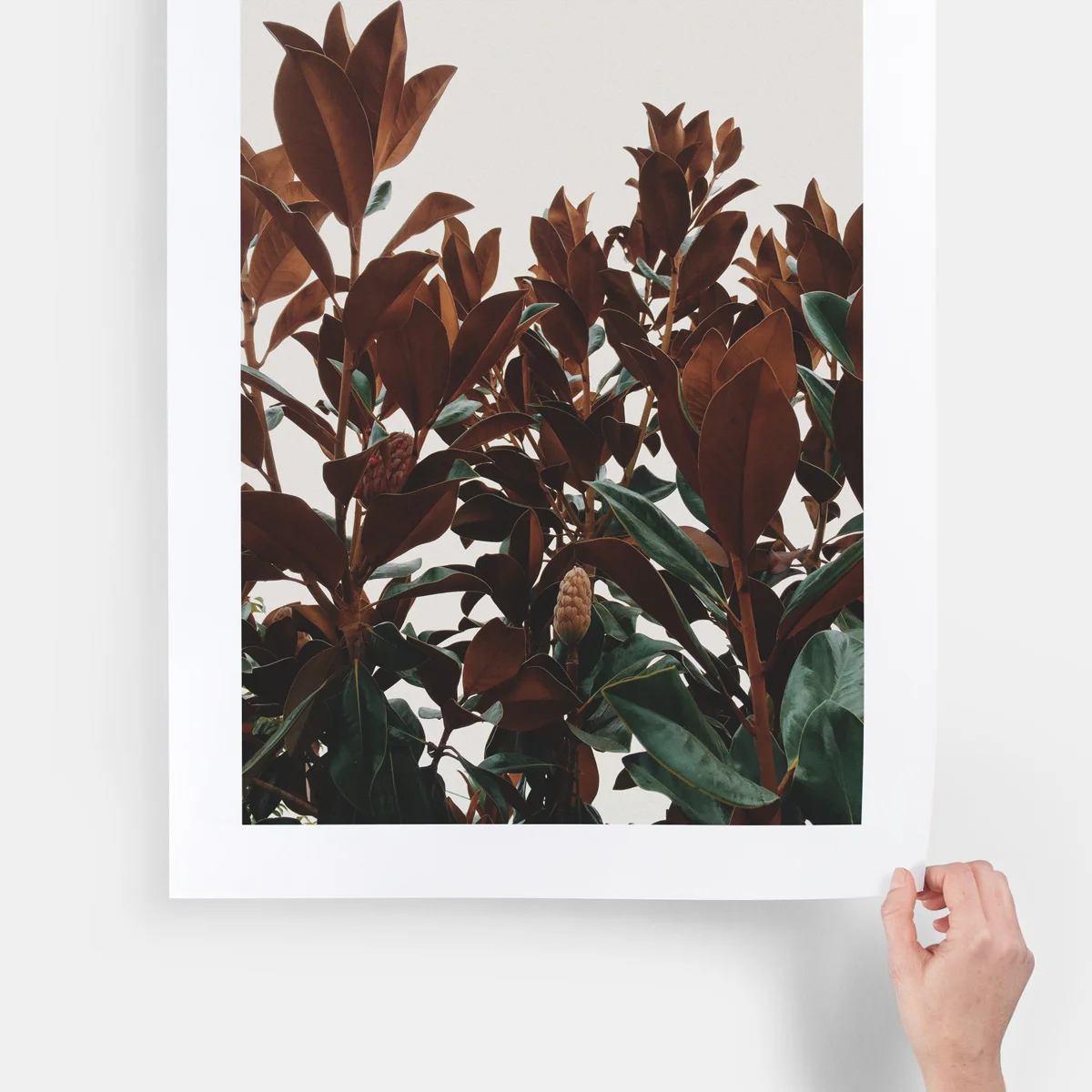 Top 10 Types Of Photo Prints You Can Choose From To House